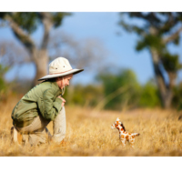 smartysafari